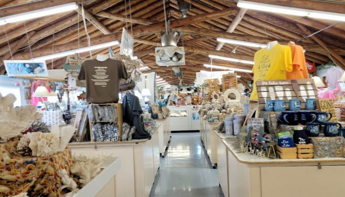 Seashell City - From Website (newer photo)